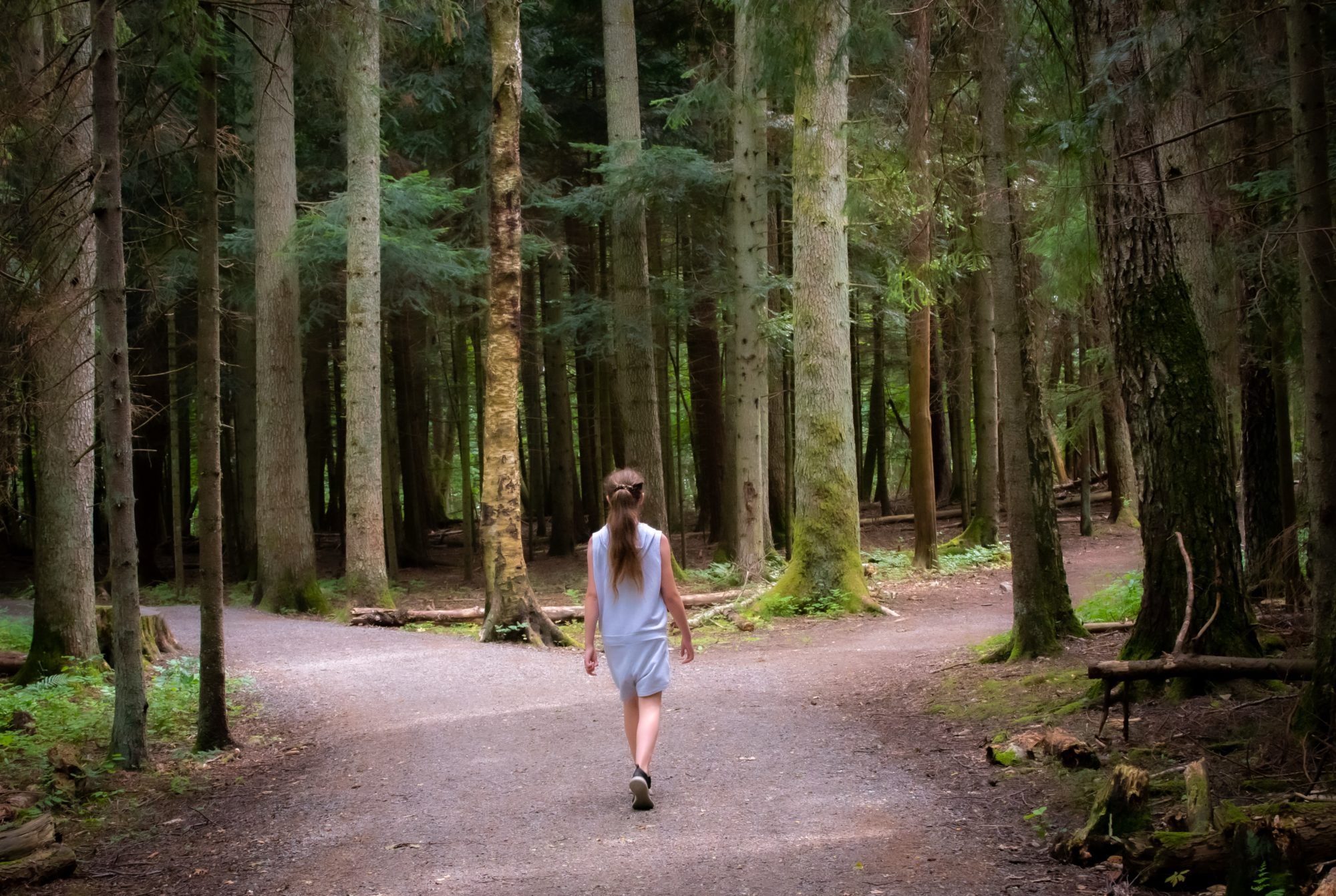 girl walking near crossroad of trees